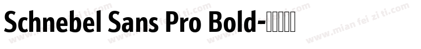 Schnebel Sans Pro Bold字体转换